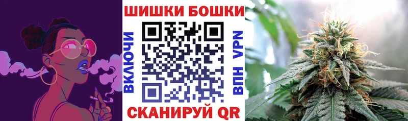 Шишки марихуана марихуана  сколько стоит  Кемерово 